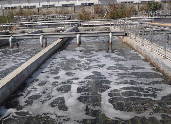 ��ˮ̎���̲��ݾ���������h(yu��n)չ�F(xi��n)��(y��u)�|(zh��)����(w��)