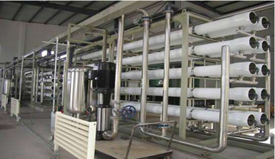 過敏很可能危及生命,過敏原的分離純化技術是必不可少的 過敏很可能危及生命,過敏原的分離純化技術是必不可少的