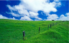 �h���ИI���u��ӯ���� ������h�����ɿڡ����X��