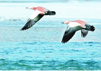 �p���΄�(w��)ȫ����� �� ������h(yu��n)׿Խ���g(sh��)���绢������