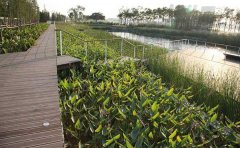 ˮƽ�����˹����Ԕ��(x��)��B