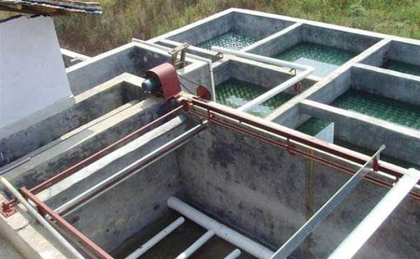 ����Bֳ���g