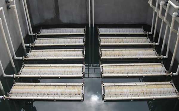 ���ﷴ���������