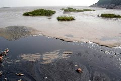 ������h׌�������B͸Һ�����ٿ���