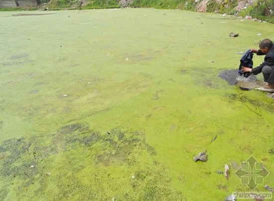 中國水污染問題很嚴(yán)重 帶您簡單看幾個(gè)案例 中國水污染問題很嚴(yán)重 帶您簡單看幾個(gè)案例