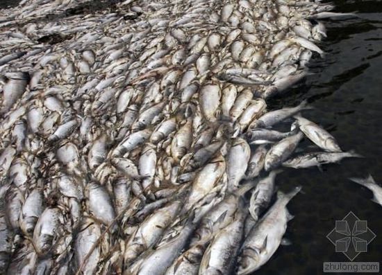 中國水污染問題很嚴(yán)重 帶您簡單看幾個(gè)案例 中國水污染問題很嚴(yán)重 帶您簡單看幾個(gè)案例