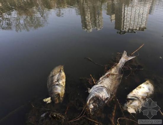 中國水污染問題很嚴(yán)重 帶您簡單看幾個(gè)案例 中國水污染問題很嚴(yán)重 帶您簡單看幾個(gè)案例