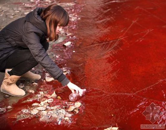 中國水污染問題很嚴(yán)重 帶您簡單看幾個(gè)案例 中國水污染問題很嚴(yán)重 帶您簡單看幾個(gè)案例