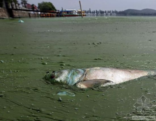中國水污染問題很嚴(yán)重 帶您簡單看幾個(gè)案例 中國水污染問題很嚴(yán)重 帶您簡單看幾個(gè)案例