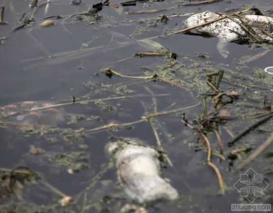 中國水污染問題很嚴(yán)重 帶您簡單看幾個(gè)案例 中國水污染問題很嚴(yán)重 帶您簡單看幾個(gè)案例