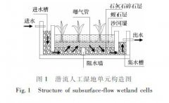 曝氣對潛流人工濕地中木本植物的影響 曝氣對潛流人工濕地中木本植物的影響